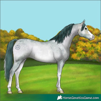 Horse Color:Watercolor Bay Ice Onyx Rabicano 