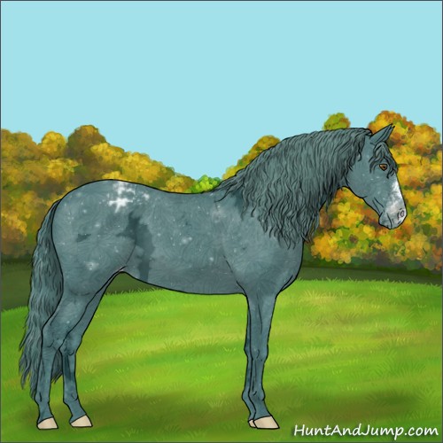 Horse Color:Watercolor Black Chinchilla Ice Appaloosa