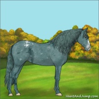 Horse Color:Watercolor Black Chinchilla Ice Blanket 