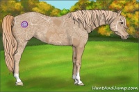 Horse Color:Chestnut Ice 