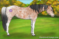 Horse Color:Bay Ice Tobiano 