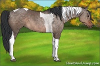 Horse Color:Brown Dun Tobiano Rabicano