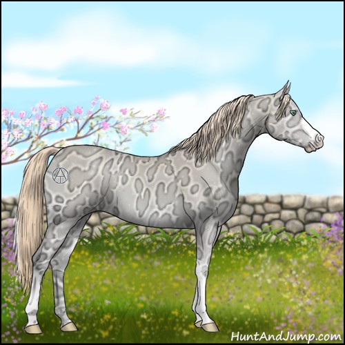 Horse Color:Perlino Ice Onyx