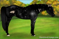 Horse Color:Void Brown Dun Splash Tobiano