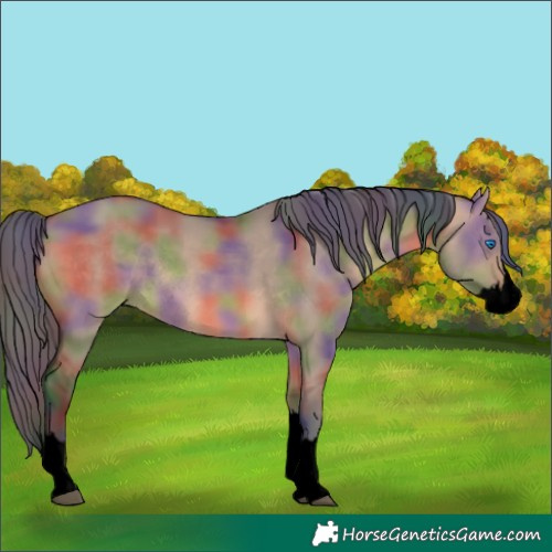Horse Color:Void Nacre Brown Dun Splash Rabicano