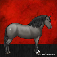 Horse Color:Grullo 