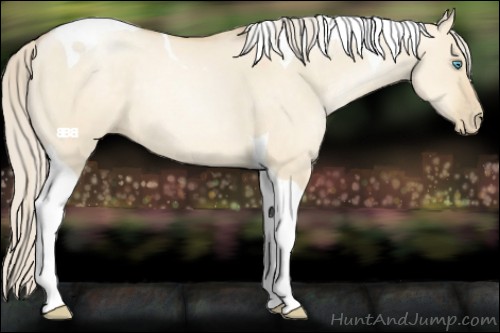 Horse Color:Palomino Pearl Dun Tobiano 