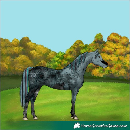 Horse Color:ERROR: UNKNOWN ANOMALY