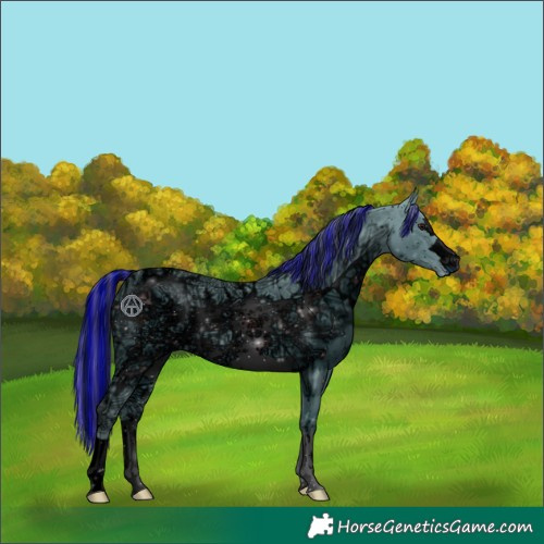 Horse Color:ERROR: UNKNOWN ANOMALY