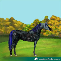 Horse Color:ERROR: UNKNOWN ANOMALY