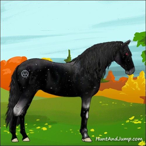 Horse Color:ERROR: UNKNOWN ANOMALY