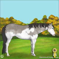 Horse Color:Grullo Ice Splash