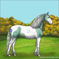 Horse Color:Watercolor Silver Brown Sabino Tobiano 