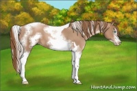 Horse Color:Chocolate Palomino Pearl Tobiano Frame  and Liver Chestnut Pearl Tobiano Frame 