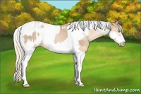 Horse Color:Chocolate Palomino Pearl Tobiano Frame  and Palomino Pearl Tobiano Frame 