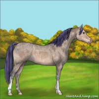 Horse Color:Painted Brown Ice Dun 