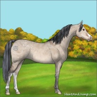 Horse Color:Painted Brown Ice Dun 