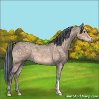 Horse Color:Painted Brown Ice Dun 
