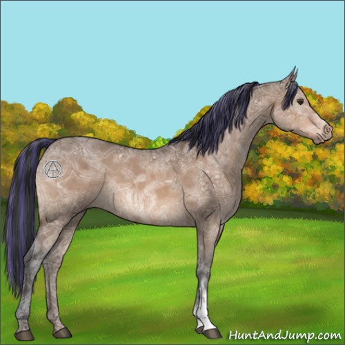 Horse Color:Painted Brown Ice Dun