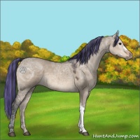 Horse Color:Painted Brown Ice Dun 