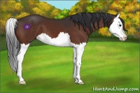 Horse Color:Brown Splash 