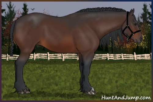Horse Color:Brown 