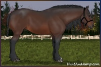 Horse Color:Brown 
