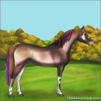 Horse Color:Painted Bay Onyx 