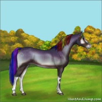Horse Color:Painted Brown Onyx 