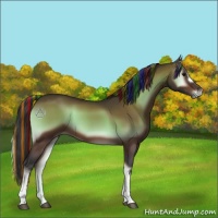 Horse Color:Painted Bay Onyx 