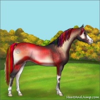 Horse Color:Painted Brown Onyx 