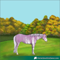 Horse Color:Watercolor White Spotted Silver Classic Champagne 