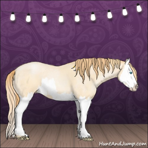 Horse Color:Buckskin Roan Pearl and Buckskin Roan Pearl Splash