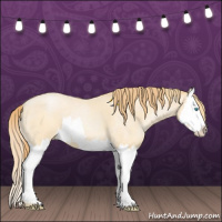 Horse Color:Buckskin Roan Pearl and Buckskin Roan Pearl Splash