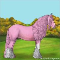 Horse Color:Watercolor Brown