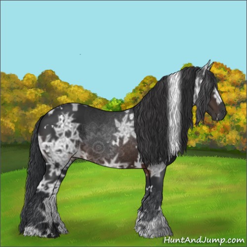 Horse Color:White Spotted Brown Ice 