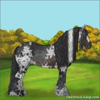 Horse Color:White Spotted Brown Ice