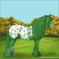 Horse Color:Watercolor Black Appaloosa 