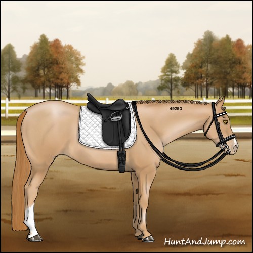 Horse Color:Chestnut Pearl