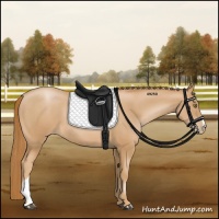 Horse Color:Chestnut Pearl 