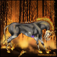 Horse Color:Grullo Splash 