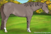 Horse Color:Platinum Chestnut 