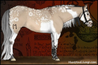 Horse Color:Bay Dun Splash Tobiano 