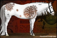 Horse Color:White Spotted Bay Splash 