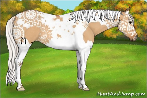Horse Color:Silver Bay Dun Splash Tobiano 