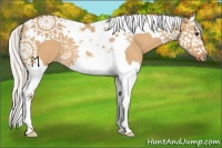 Horse Color:Silver Bay Dun Splash Tobiano 