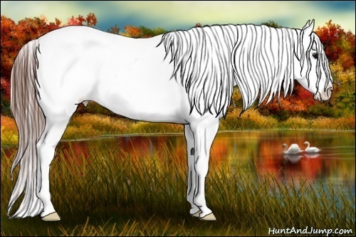 Horse Color:Blue Roan Splash Snowflake Varnish