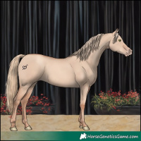 Horse Color:Gold Champagne Dun 