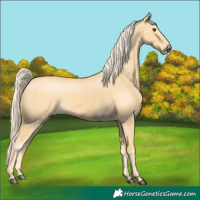 Horse Color:Palomino Dun 