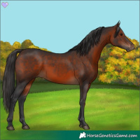 Horse Color:Brown 